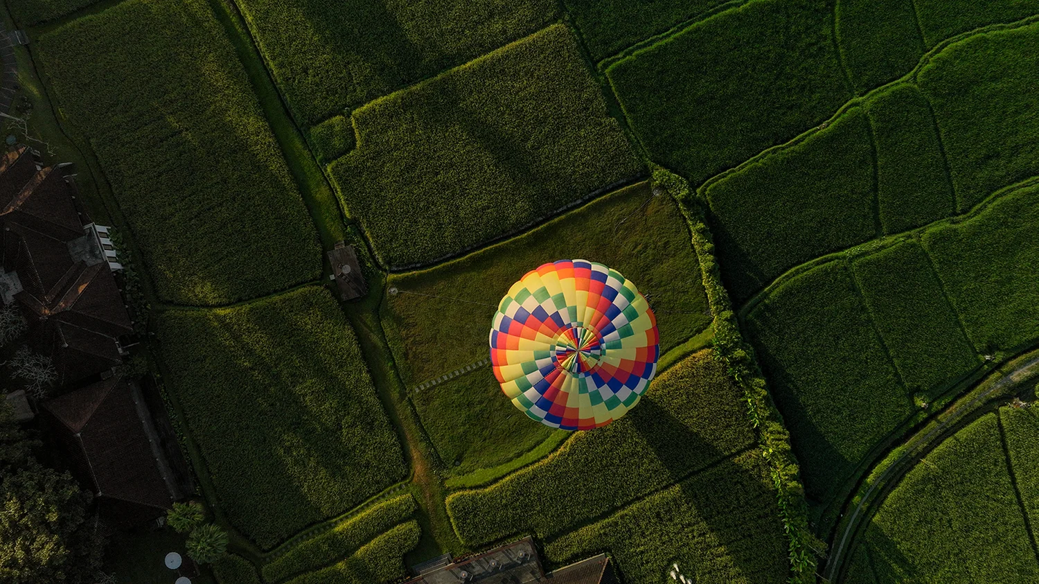 Ballooning · Above the paddies from the Lov Angels photo collection