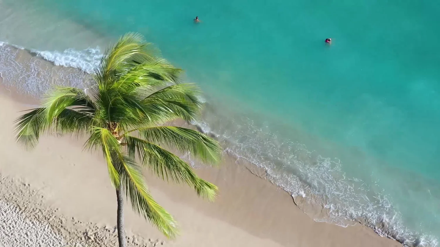 A tropical shoreline seen from above