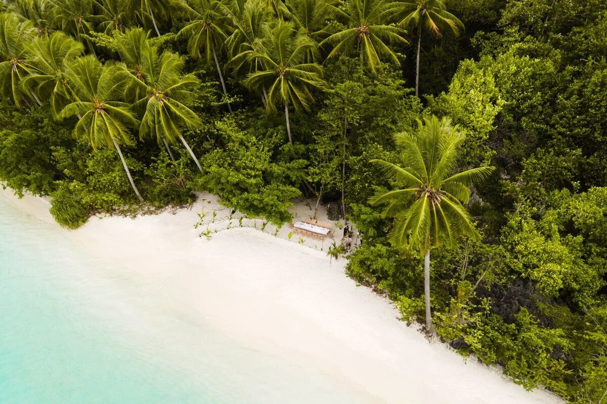 A palm-fringed island beach beside clear water